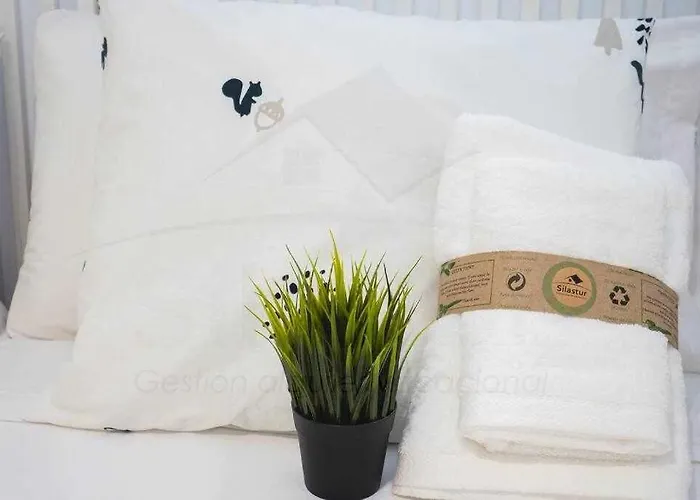 San Miguel Playa By Silastur 公寓 *