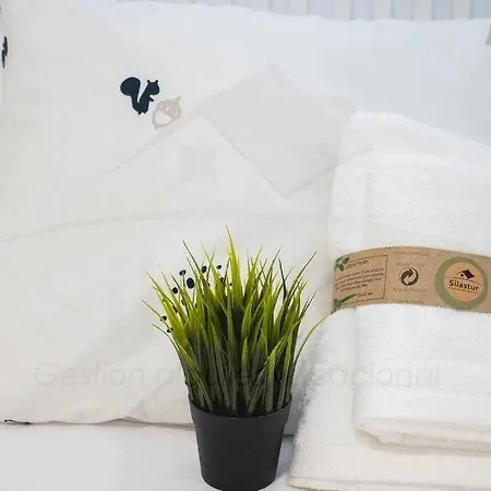 San Miguel Playa By Silastur Apartament *